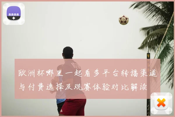 欧洲杯哪里一起看多平台转播渠道与付费选择及观赛体验对比解读