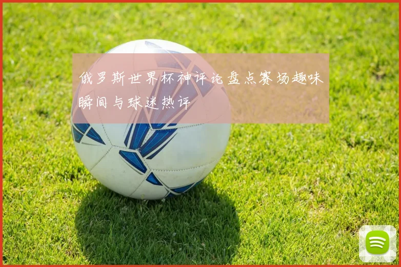 俄罗斯世界杯神评论盘点赛场趣味瞬间与球迷热评